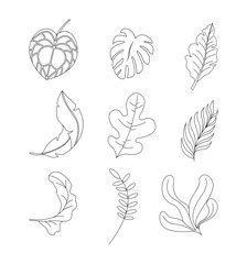 Obraz premium Vector Collection of Various Tropical Leaves Illustration