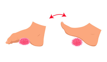Myofascial release exercise for legs with a spike ball. Exercise for feet. Rehabilitation training. Vector illustration