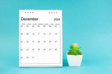 2024 December desk calendar and plant pot on blue background.