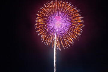 夏の風物詩花火