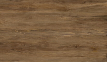 High quality wood texture. Wood texture for design.