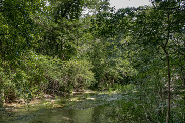 View of La Brague River in the department of Alpes-Maritimes as seen in La Brague Park, near Biot Village, Provence-Alpes-Cote d'Azur, French Riviera, France