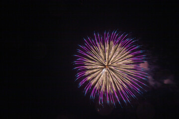 有名花火師による芸術花火