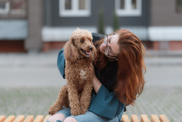 red poodle sitting on wooden bench with owner in street, young caucasian redhead woman in jeans and...