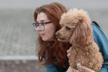 red poodle sitting on wooden bench with owner in street, young caucasian redhead woman in jeans and blue blouse hugs gently her dog, pet care concept