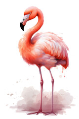 Obraz premium Pink Flamingo Standing in Body of Water