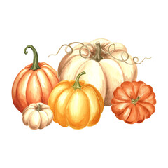 Pumpkins orange, yellow and white composition. Hand drawn watercolor illustration, isolated. Thanksgiving traditional autumn vegetables. Template for invitation, card, Halloween, wrapping, embroidery.