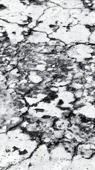 A detailed black and white image showcasing the intricate patterns of cracked earth.