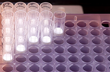 A box of filter tips in the scientific research laboratory