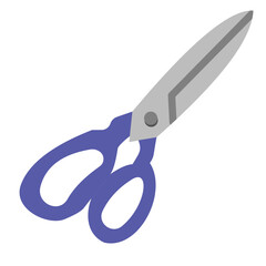 Fabric Shears Icon