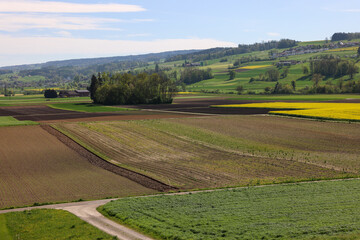 agriculture fields in switzerland