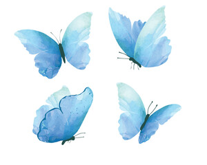 watercolor flock butterfly vector