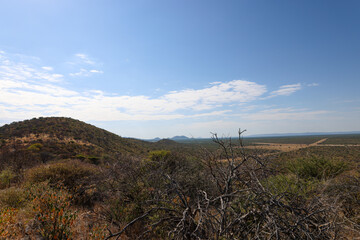 dry bushland in Namibia