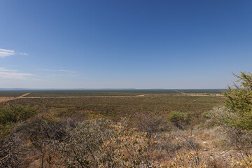 dry bushland in Namibia