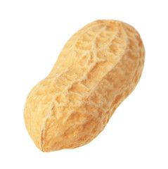 One fresh unpeeled peanut isolated on white