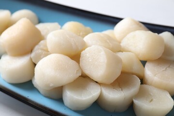 Fresh raw scallops on white table, closeup