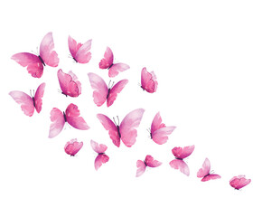 watercolor flock butterfly vector