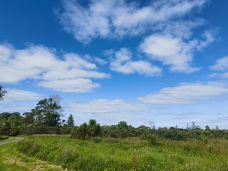 park and sky