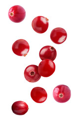 Fresh Red Cranberries Falling on a transparent background.