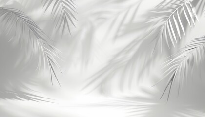 A white background with a palm tree and its shadow. The image has a serene and calming mood