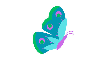 butterfly
