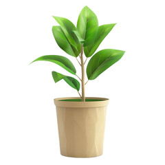 Green potted plant with lush leaves in a beige pot on a white background, ideal for home decor and indoor gardening projects.