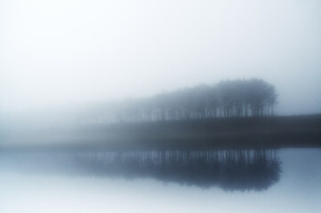 Fototapeta premium 안개낀 새벽녁에 물에 반사되는 소나무.