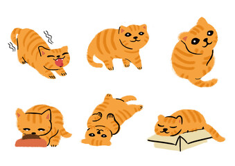 Set of Orange Cat Behavior Illustration