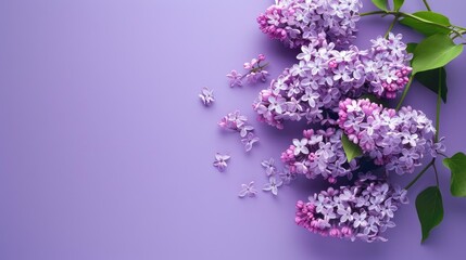 Beautiful delicate background of lilac flowers. Small lilac-colored flowers. A festive spring card. An invitation to a wedding.
