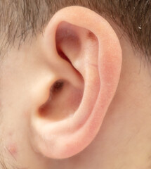 Close-up of a boy's ear. Macro