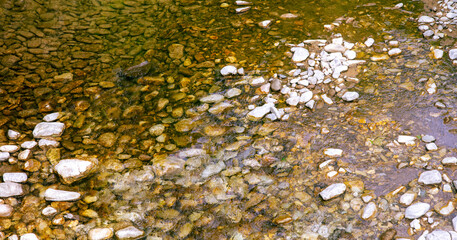 Mountain river with stones in summer