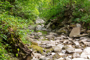 Mountain river with stones in summer