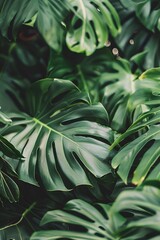 Elegant Tropical Foliage Pattern with Radiant White Rim Lighting