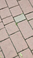 background of paving slabs in the city park