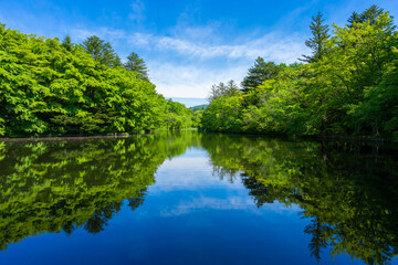 軽井沢の雲場池