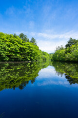 【縦写真】軽井沢の雲場池