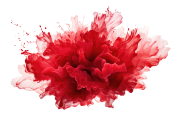 The Scarlet Bloom Dancing Amongst the Clouds on a Clear PNG or White Background.