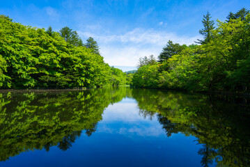 軽井沢の雲場池