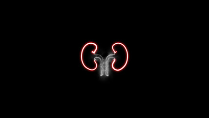 Human kidney icon isolated on a black background. Neon human kidneys icon. Urinary system part symbol. Medicine icons.