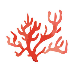 Red algae in watercolor. Hand drawn botanical vector illustration.