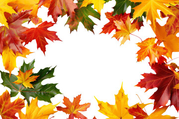 Obraz premium Colorful autumn leaves frame a black background, perfect for adding text or images.