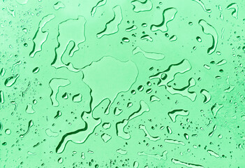 Water drops on green background, green water drops pattern background