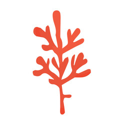 Red algae in watercolor. Hand drawn botanical vector illustration.