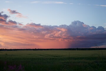 awesome pink summer sunset 