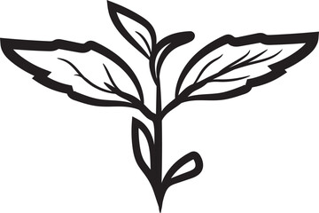 Hand-drawn basil leaf icon 
