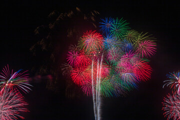 日本の芸術花火大会