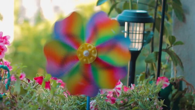 Colorful wind rose spinning in balcony.
Rainbow windmill, toy pinwheel 

