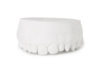 Dental model with gum isolated on white. Cast of teeth