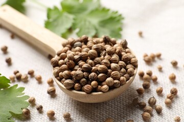 Spoon with dried coriander seeds and green leaves on light cloth, closeup