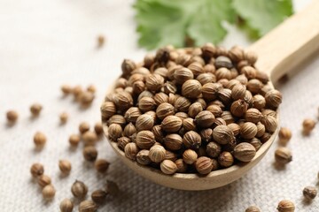 Spoon with dried coriander seeds on light cloth, closeup